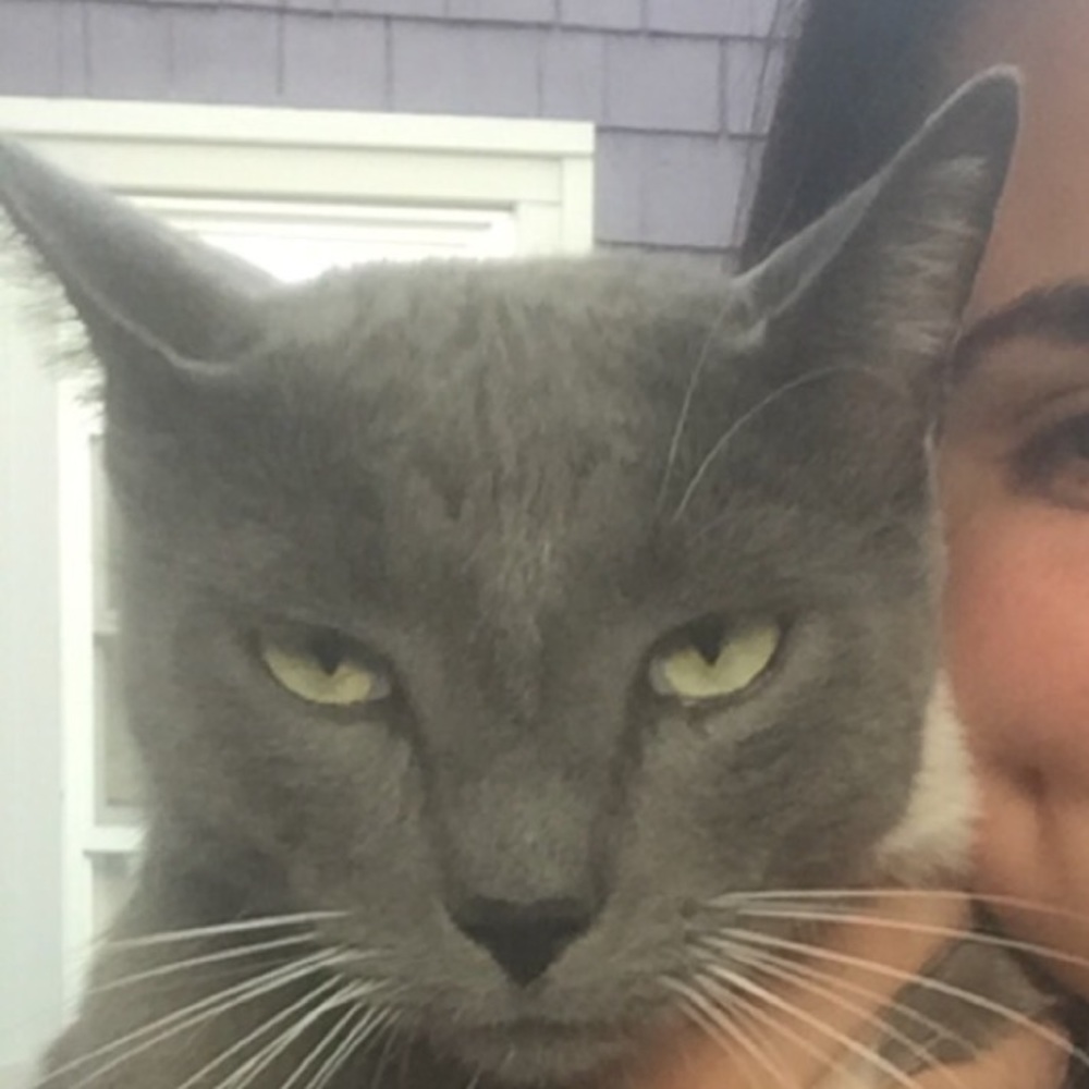 Meet your Posher, Leah